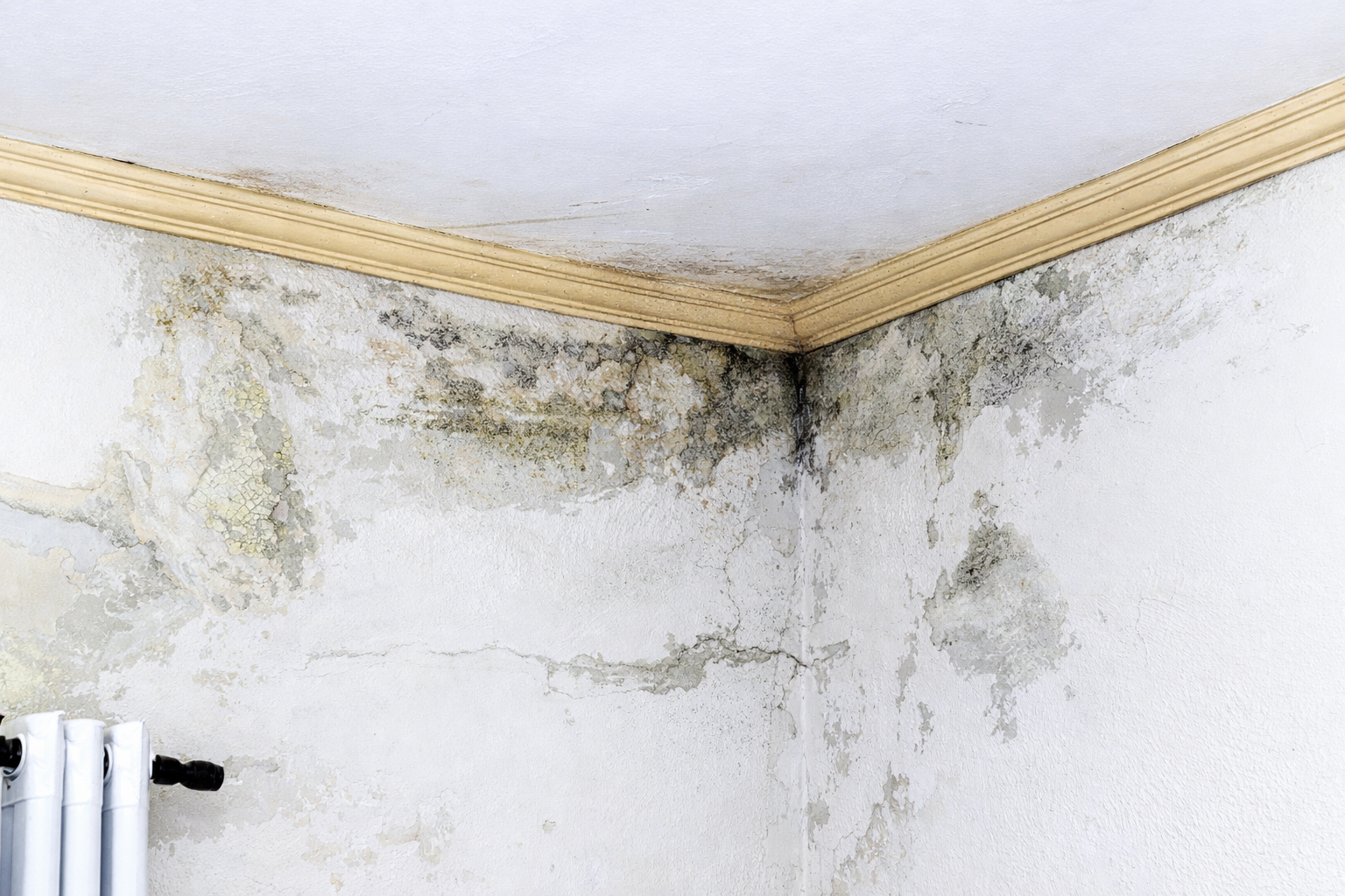 Parede com infiltração e mofo no canto superior próximo ao teto, mostrando manchas de umidade e pintura deteriorada.